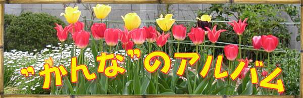 �h����ȁh�̂��炵