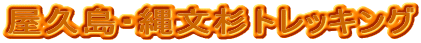 屋久島・縄文杉トレッキング
