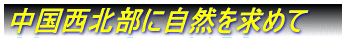 kɎR߂