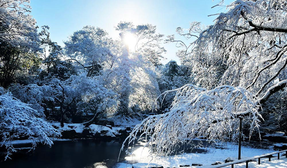 近衛邸雪