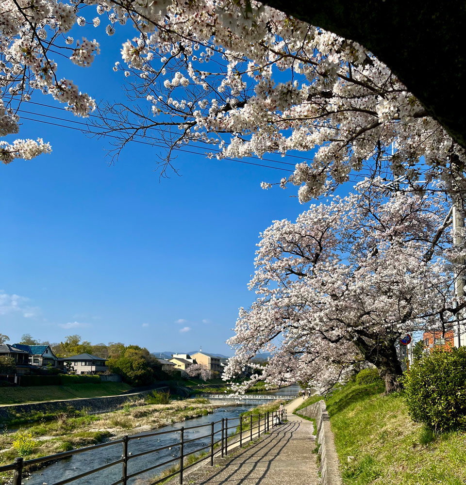 高野川