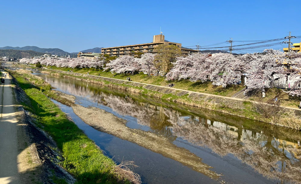 高野川