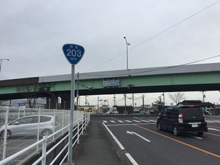 国道203号写真