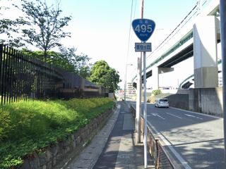 国道495号写真