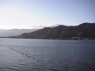 OKUBIWA1