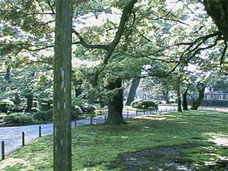 KENROKUEN3