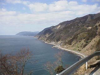 KOUNO2