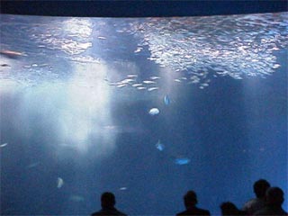 NAGOYA AQUARIUM1