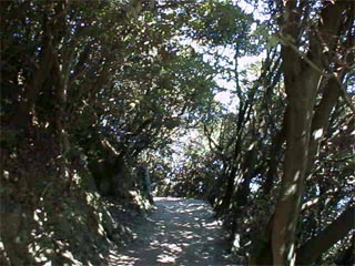 SATAMISAKI4