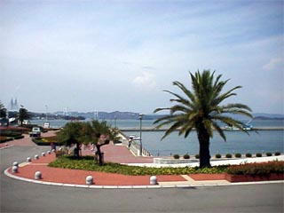 SETO4