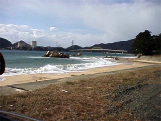 TSURUGA4