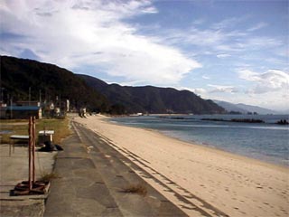 TSURUGA1