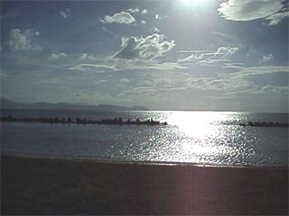 TSURUGA1