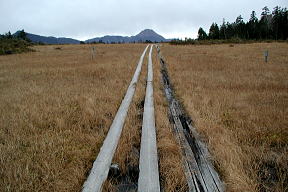 日光白根山と木道