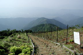 花立山荘前より