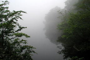 霧の中沼