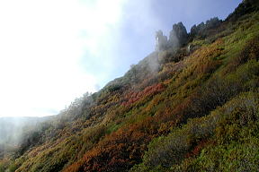 マネキ岩付近の紅葉