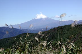 ススキの向こうに雲付き富士山