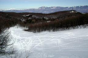 旧スキー場