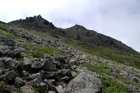 トムラウシ山頂部