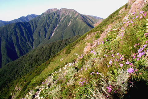 赤石岳