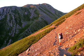 登山道