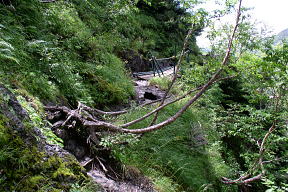 登山道