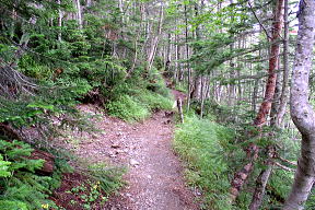 登山道