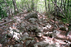 登山道