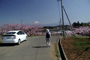 富士山の道