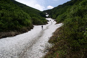 大沢雪渓