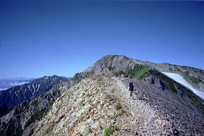 杓子岳稜線上の道