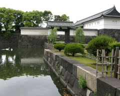 蒬