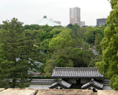 V䂩畐