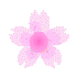 ani-sakura