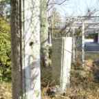 記念に置いてある昔の校門の門柱2009.1.