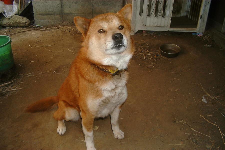 `Y