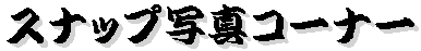 Xibvʐ^R[i[