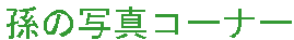 ̎ʐ^R[i[