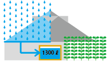 たて樋から雨水を集める、雨びつ