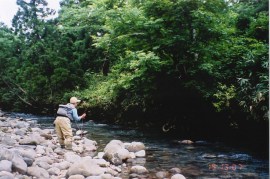 koyosigawa 4