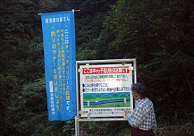 9/15�p��