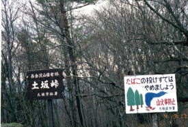 �y�⓻