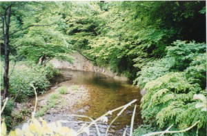 oguni 2