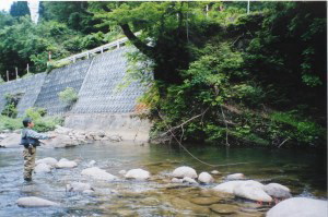 asahi
