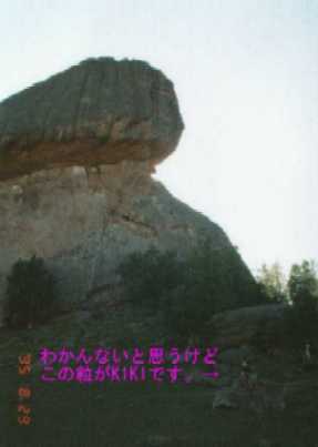 亀石でかいぞー。w(゚o゚)wワオ!!