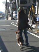 毎日の散歩は楽しいひと時