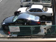 洗車する1号を見守るサスケ