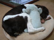 ムニャムニャ…ZZZzzz…