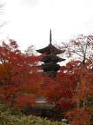 西方寺の五重塔